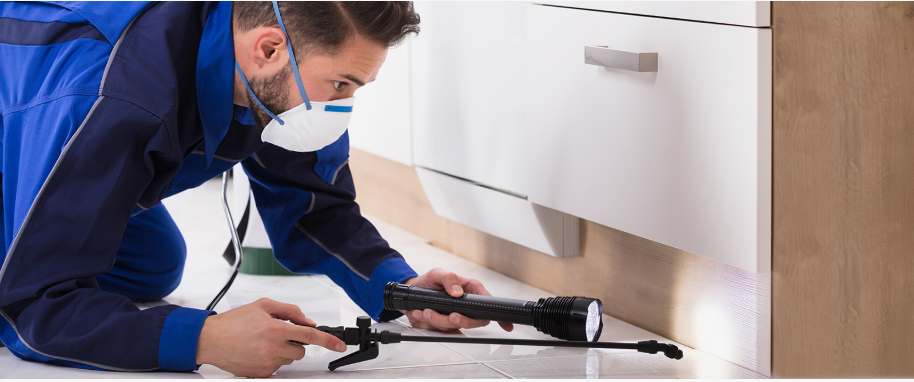 Cuyahoga Falls pest xpert removal